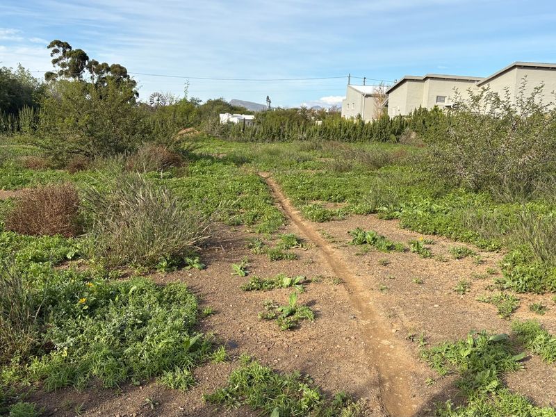 Build Your Dream Beneath the Karoo Mountain - Photo 2