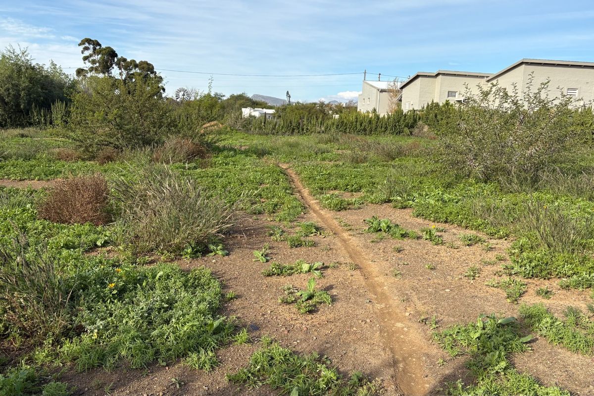 Build Your Dream Beneath the Karoo Mountain - Photo 2