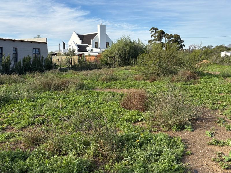 Build Your Dream Beneath the Karoo Mountain - Photo 3