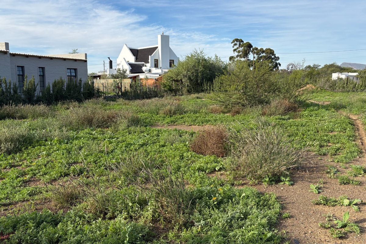 Build Your Dream Beneath the Karoo Mountain - Photo 3