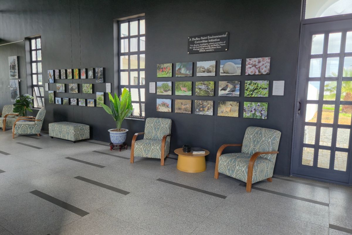 A spacious interior area featuring dark painted walls, large windows, and tiled flooring, currently utilized as a community display space.