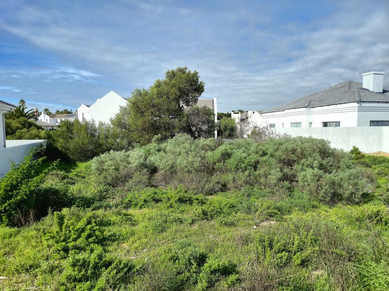 Cul de sac vacant land - Photo 9