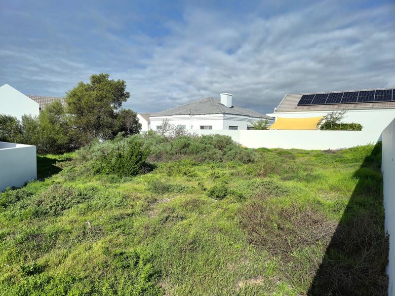 A vacant residential plot featuring natural vegetation, enclosed by boundary walls, offering a blank canvas for future development.