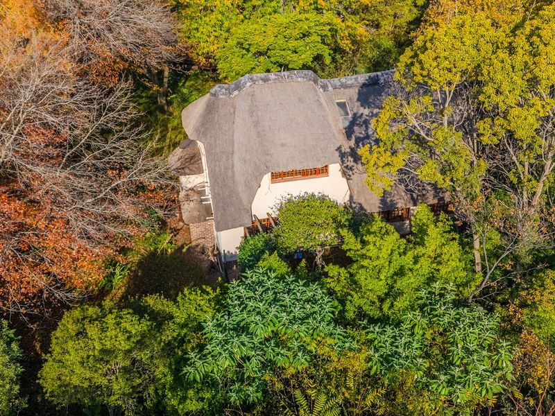 Aerial view of a charming thatched-roof residence nestled within a lush, mature wooded landscape, offering a private and serene setting.