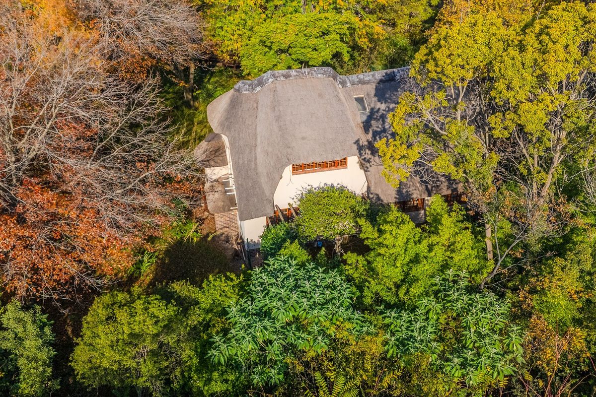 Aerial view of a charming thatched-roof residence nestled within a lush, mature wooded landscape, offering a private and serene setting.