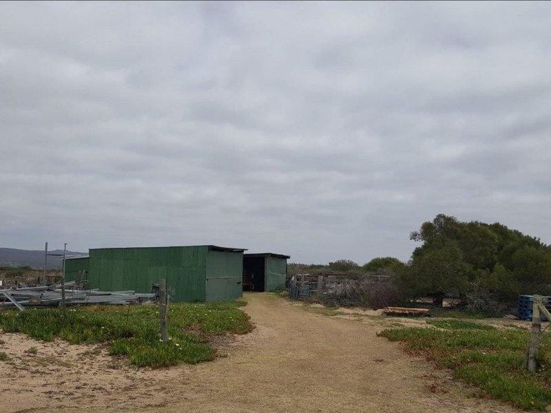 A rural farm property featuring a green corrugated metal shed structure set within an open, natural landscape with dirt access paths.