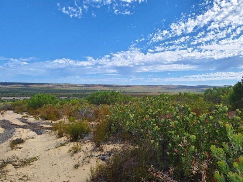 Expansive natural landscape view featuring indigenous vegetation, sandy terrain, and distant mountain ranges under a clear blue sky.