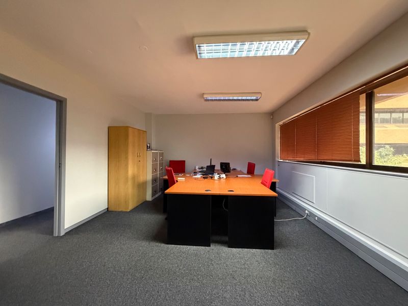 A functional office space featuring carpeted flooring, fluorescent lighting, and large windows with venetian blinds, providing a practical work environment.