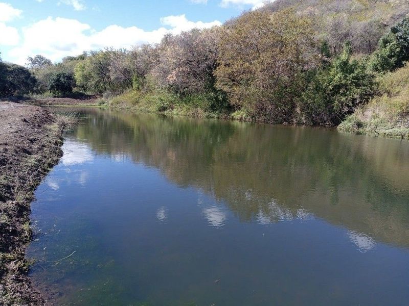 A scenic view of a natural dam on the farm, surrounded by indigenous trees and natural landscape.