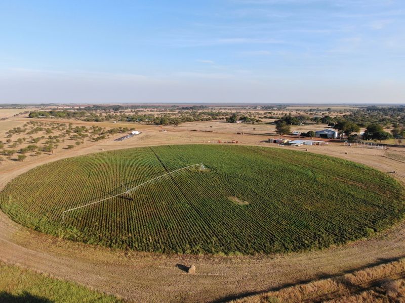 Productive, water rich 21.4 Hectare Farm for sale, 9km from Bela Bela - Photo 1