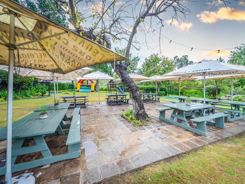 An outdoor patio area featuring stone paving, mature trees, and overhead string lighting, suitable for commercial or recreational use.
