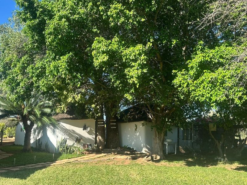 Exceptional Farm Property in the Heart of Lephalale - Photo 4