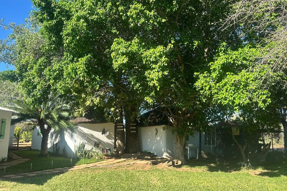 Exceptional Farm Property in the Heart of Lephalale - Photo 4