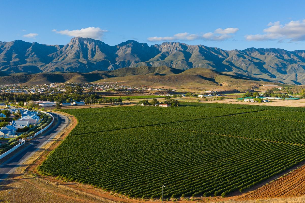 Aerial view of the property showcasing expansive agricultural vineyards, surrounding residential area, and scenic mountain range backdrop.