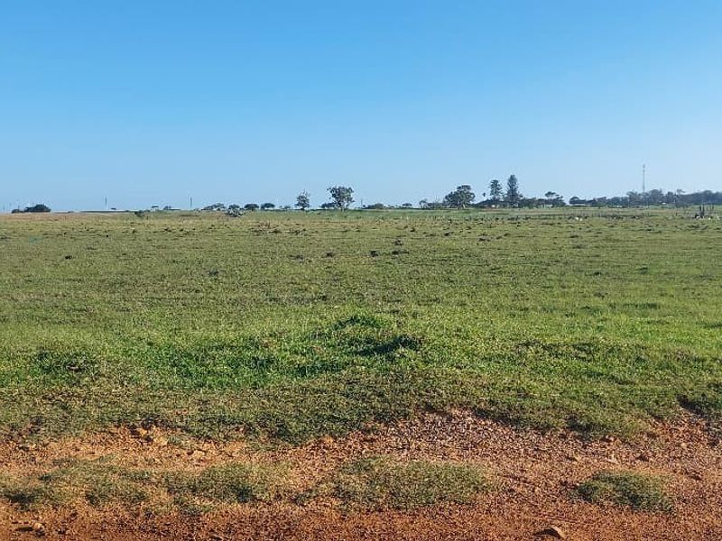 A wide-angle view of an expansive, open agricultural field with natural grass cover under a clear blue sky.
