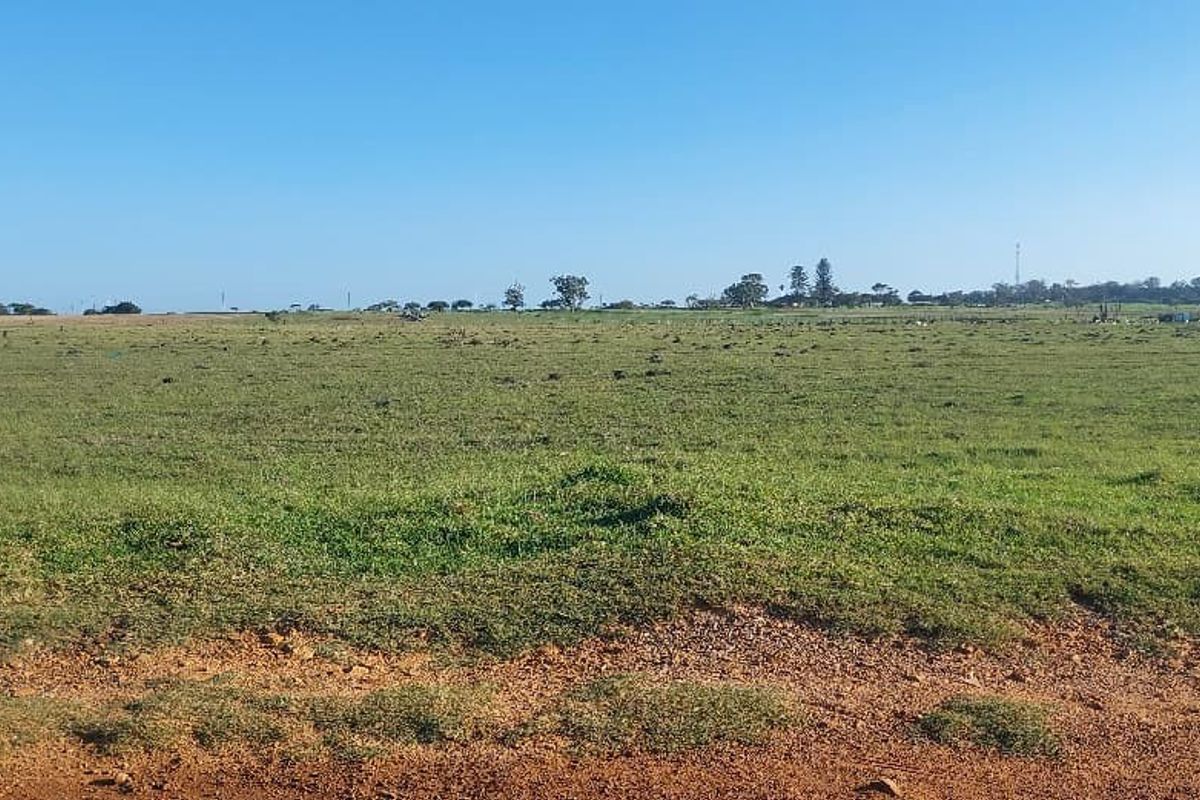 A wide-angle view of an expansive, open agricultural field with natural grass cover under a clear blue sky.