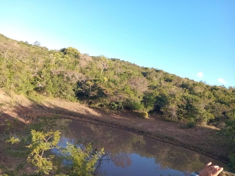 Farm For Sale in Komga - Photo 10