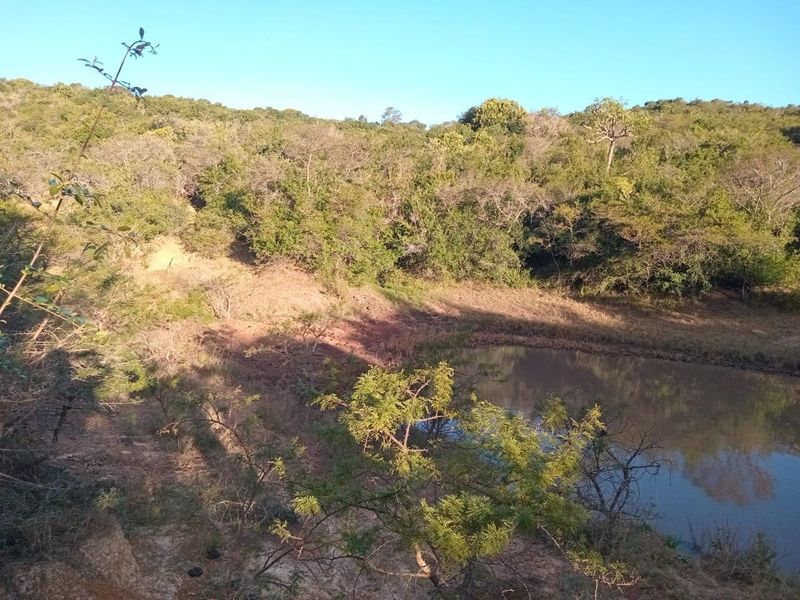 Farm For Sale in Komga - Photo 7