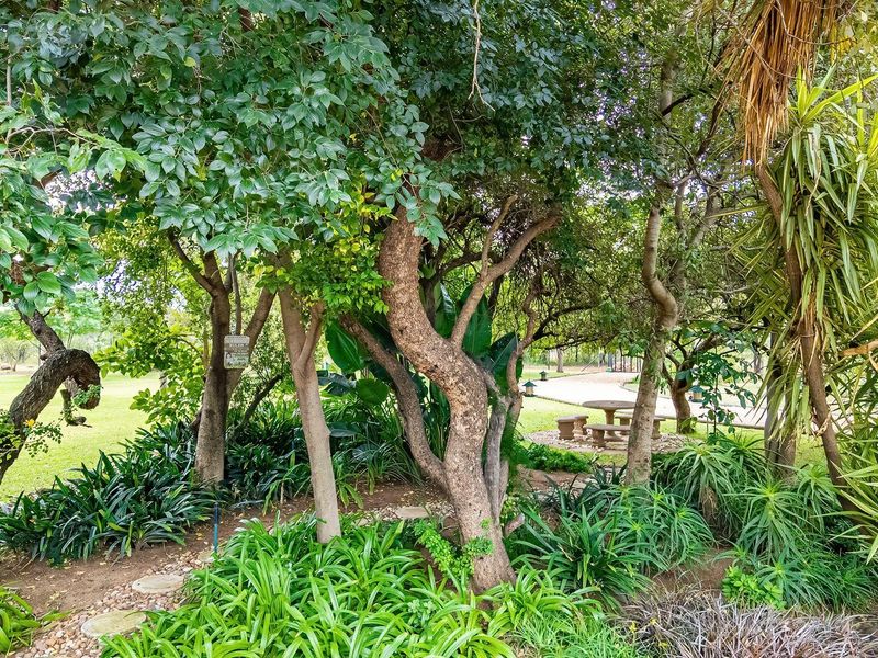 Farm For Sale in Dinokeng Game Reserve, Wonderboom - Photo 10