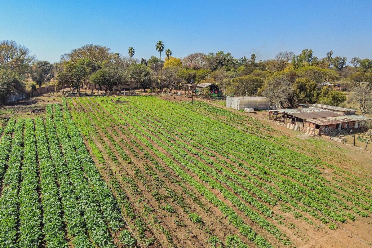 Farm For Sale in Mont Lorraine AH, Wonderboom - Photo 2