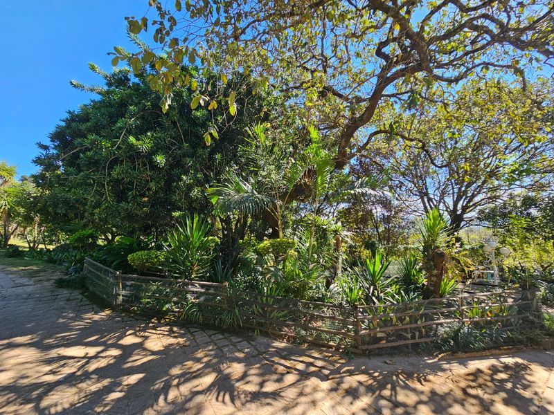 House For Sale in Hazyview Mpumalanga - Photo 4