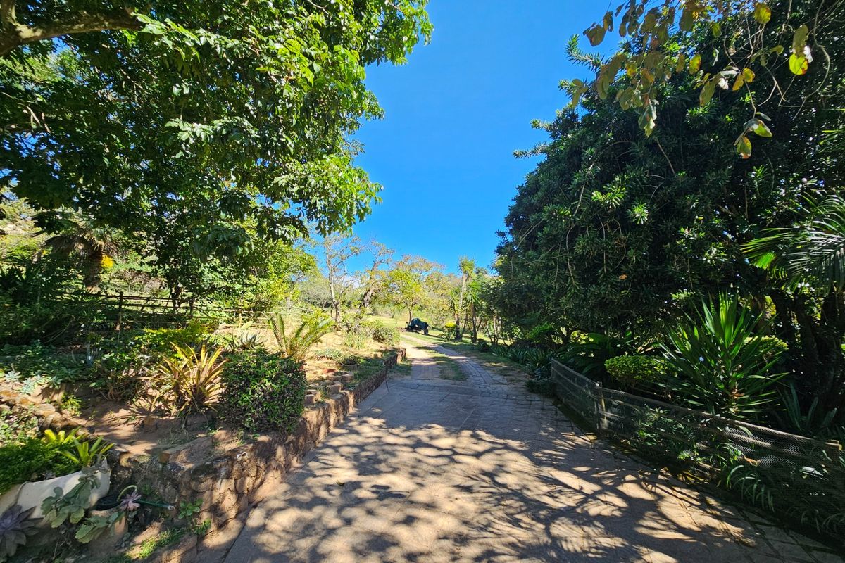 6 houses on 58ha’s, between overlooking Dagama Dam, hazyview/White River, Mpumalanga - Photo 5