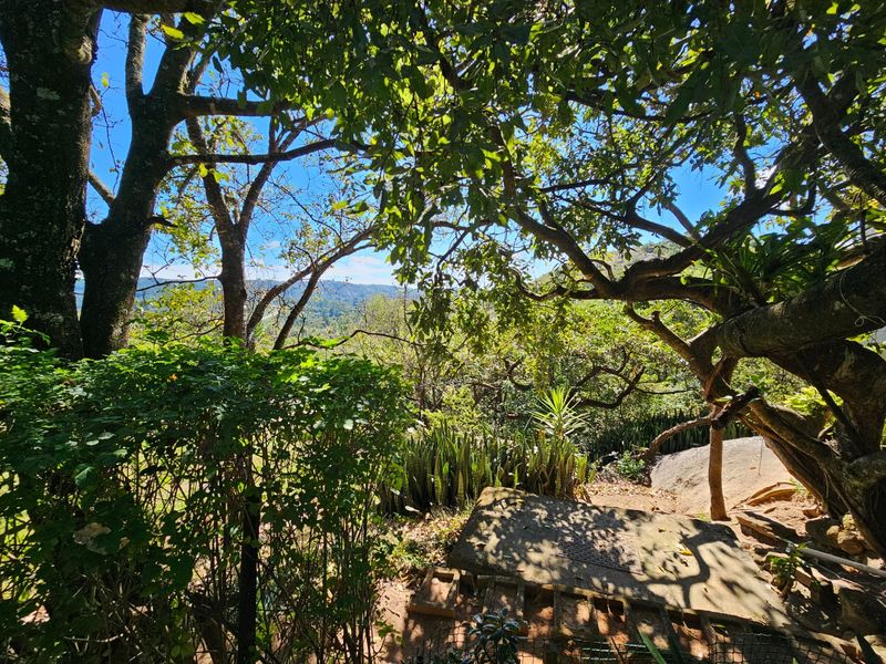 House For Sale in Hazyview Mpumalanga - Photo 9