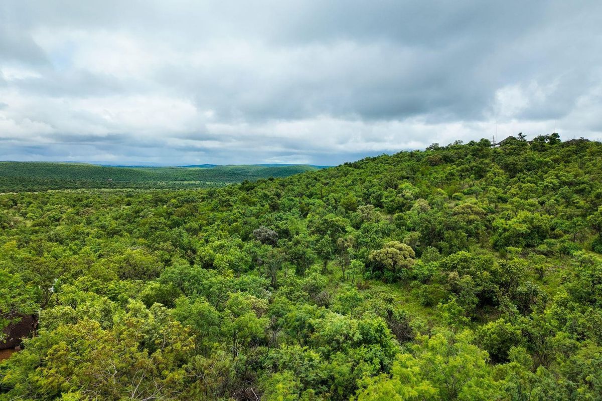 Farm For Sale in Cullinan Rural, Cullinan - Photo 4