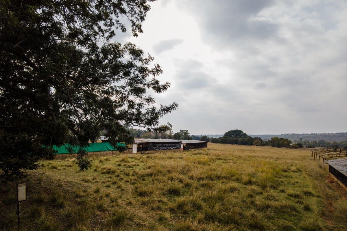 Expansive farm landscape featuring agricultural outbuildings, open grazing fields, and perimeter fencing under a cloudy sky.