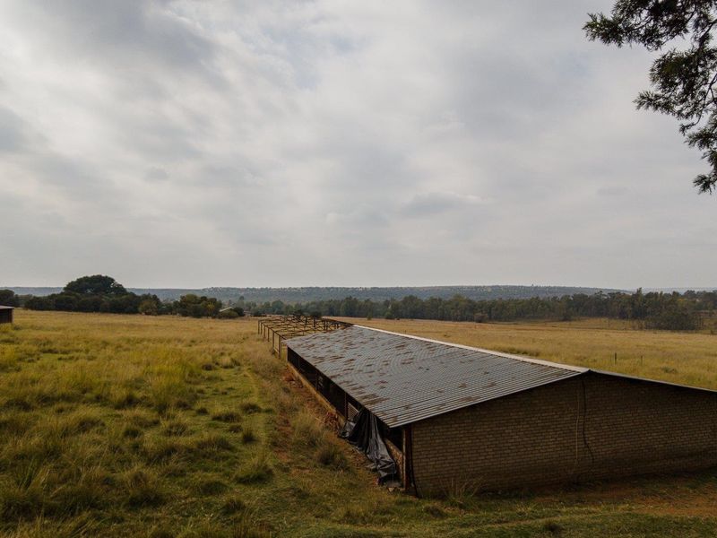 Farm For Sale in Cullinan Rural, Cullinan - Photo 10