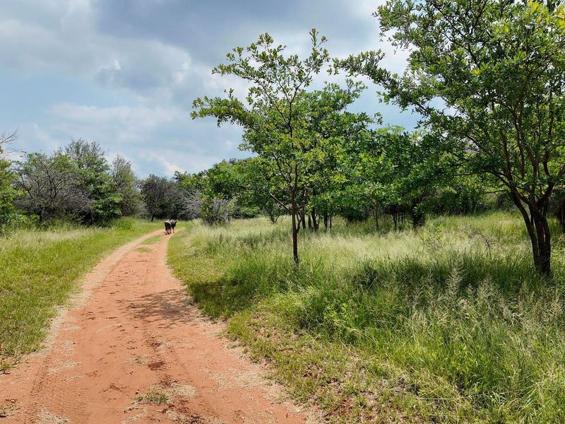 House For Sale in Dinokeng Game Reserve, Wonderboom - Photo 10