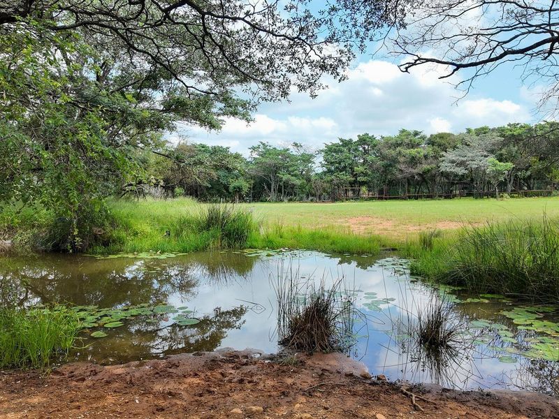 House For Sale in Dinokeng Game Reserve, Wonderboom - Photo 2