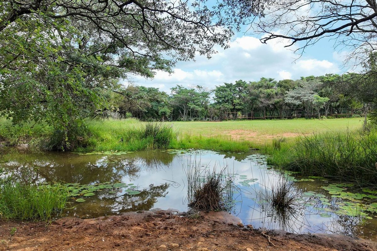 House For Sale in Dinokeng Game Reserve, Wonderboom - Photo 2