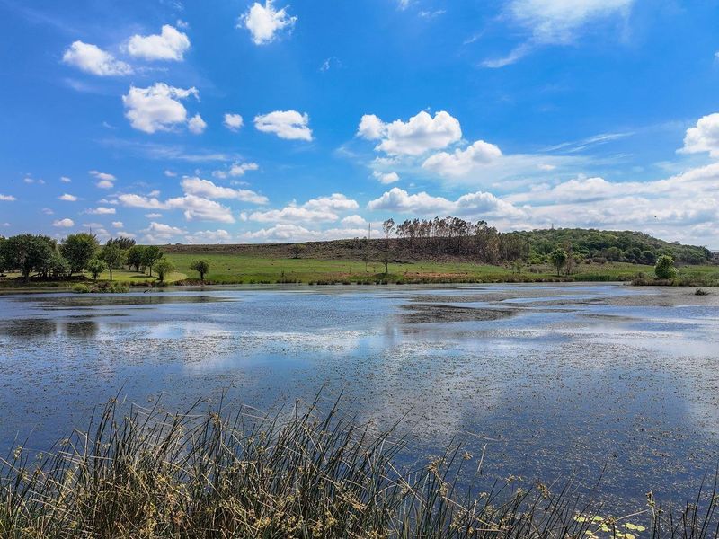 Farm For Sale in Spitskop (533) AH, Bronkhorstspruit Rural, Bronkhorstspruit - Photo 6