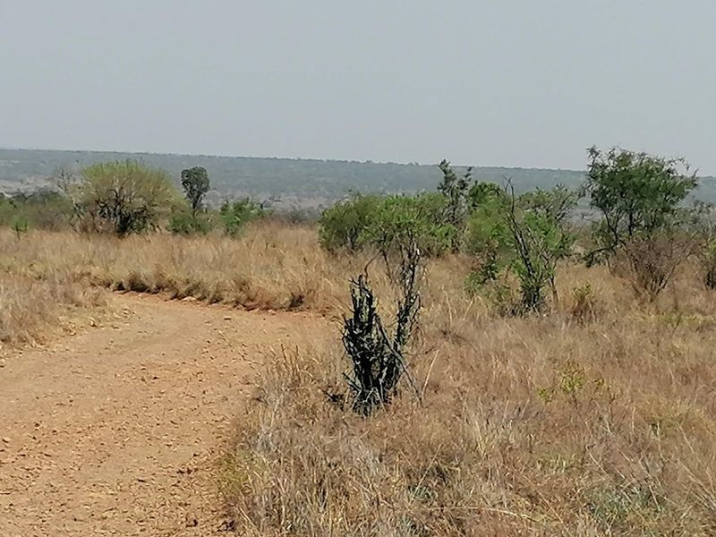A scenic view of the expansive farm landscape featuring natural vegetation and a dirt access track.