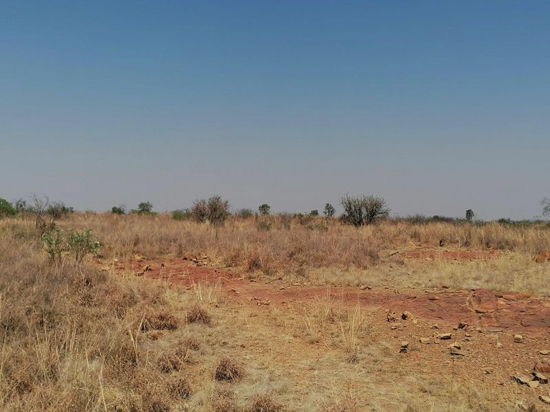 Expansive open farm land featuring natural dry grass and rocky terrain under a clear blue sky.