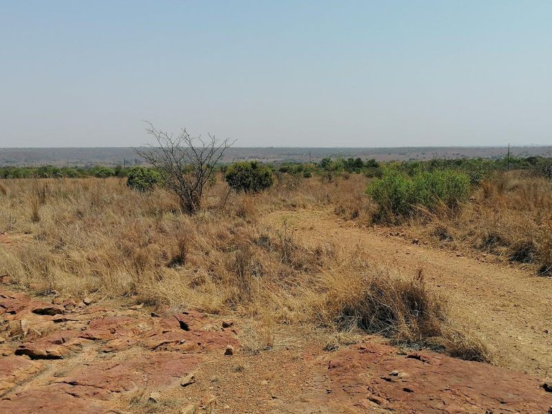 Expansive view of the natural farm landscape featuring rocky terrain, dry grassland, and indigenous shrubs under a clear sky.