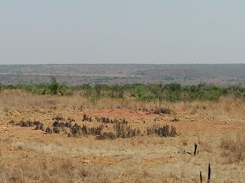 Expansive view of the natural farm landscape, showcasing the open terrain and surrounding vegetation.