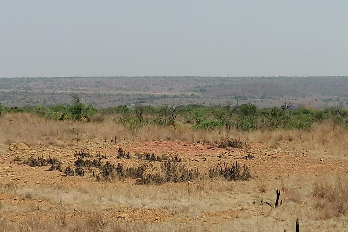 Expansive view of the natural farm landscape, showcasing the open terrain and surrounding vegetation.