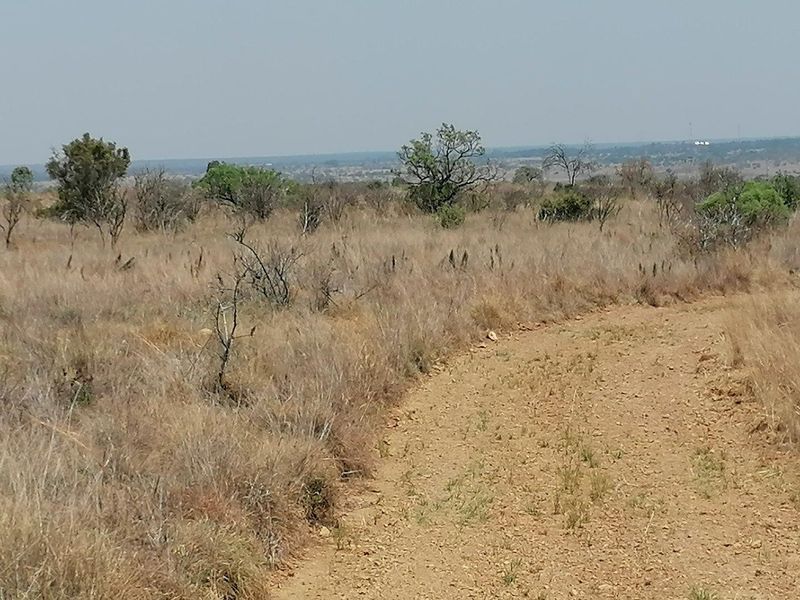 Expansive view of the natural farm landscape featuring dry grassland and indigenous vegetation.