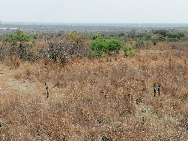 Expansive view of the natural farm landscape featuring indigenous vegetation and open terrain.