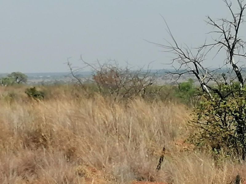 A scenic view of the natural landscape and surrounding bushveld terrain on the farm property.