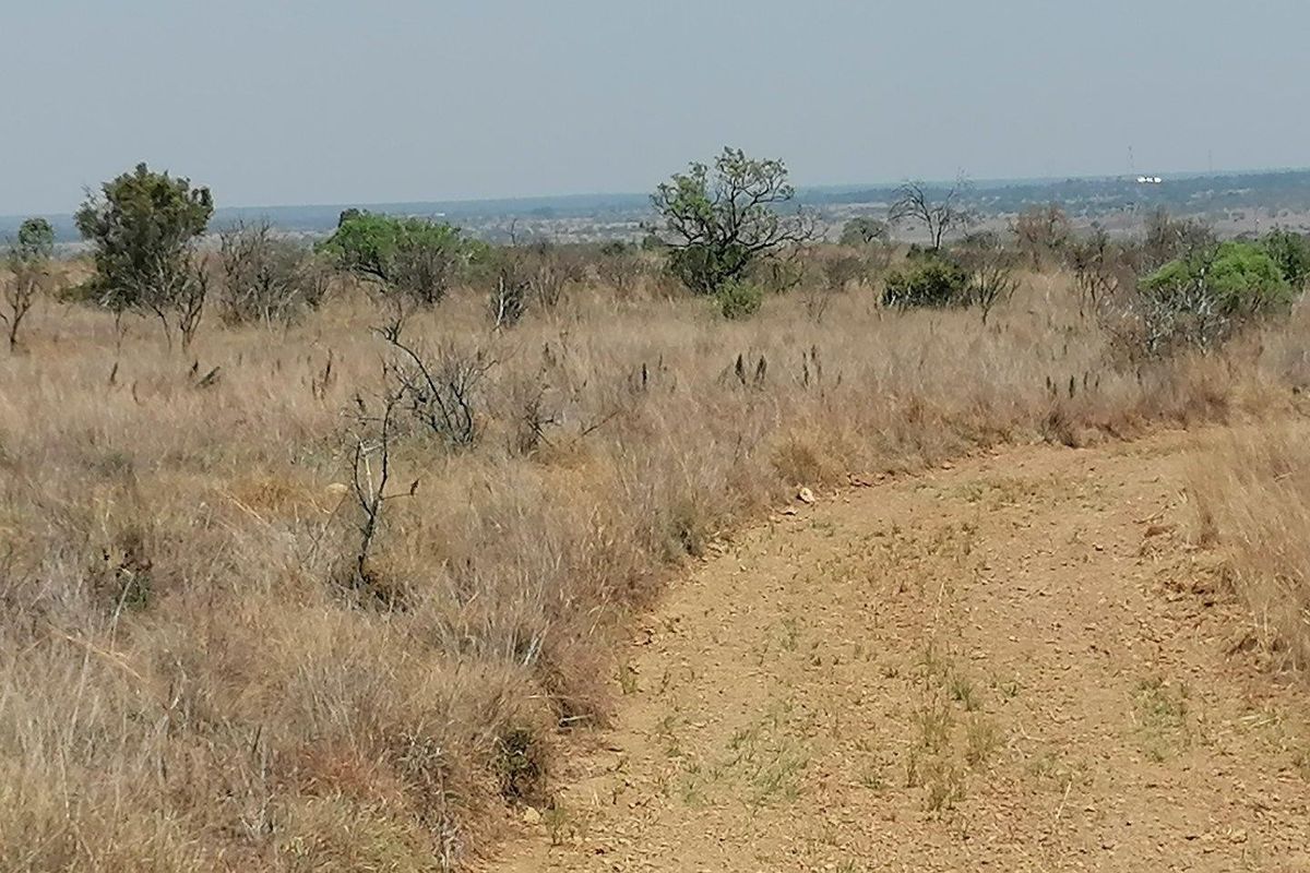 Farm For Sale in Dinokeng Game Reserve, Wonderboom - Photo 2