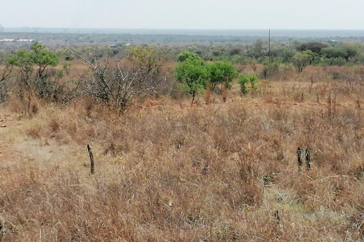 Farm For Sale in Dinokeng Game Reserve, Wonderboom - Photo 3