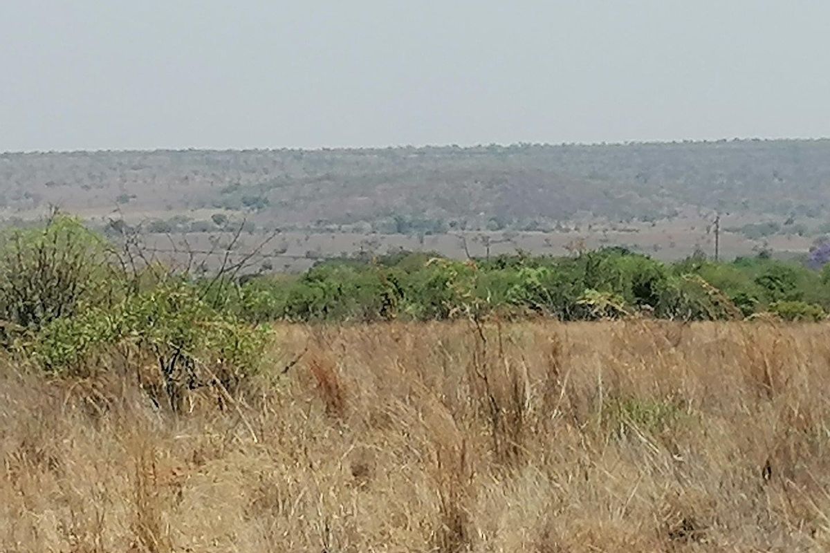 Farm For Sale in Dinokeng Game Reserve, Wonderboom - Photo 4