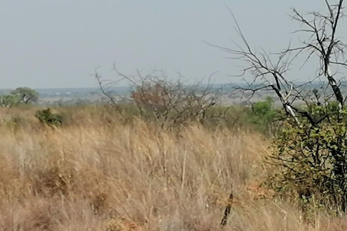 Farm For Sale in Dinokeng Game Reserve, Wonderboom - Photo 5