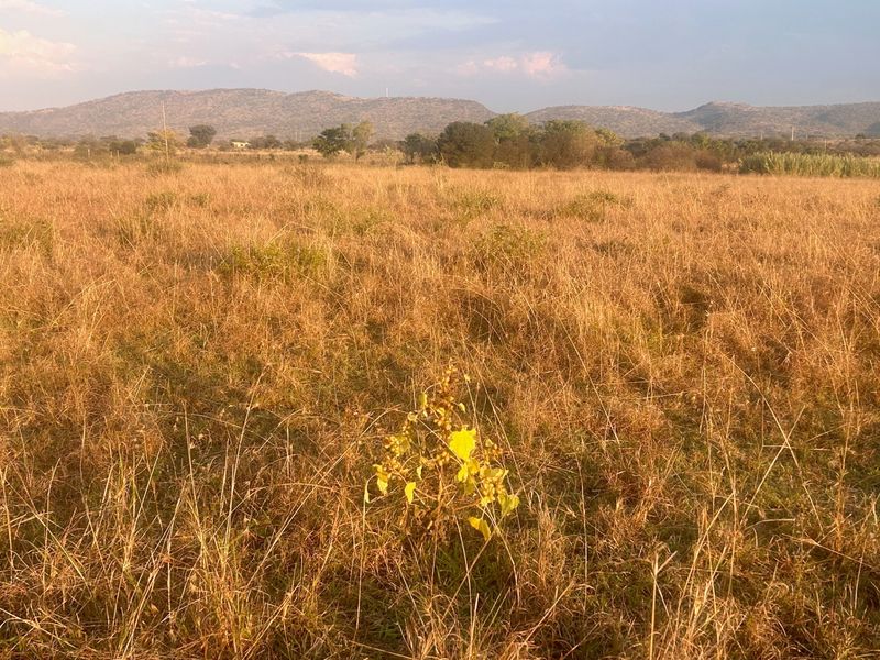 Beautiful, Scenic 13,7Ha clean Canvass - Photo 2