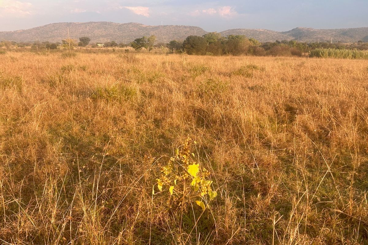 Beautiful, Scenic 13,7Ha clean Canvass - Photo 2