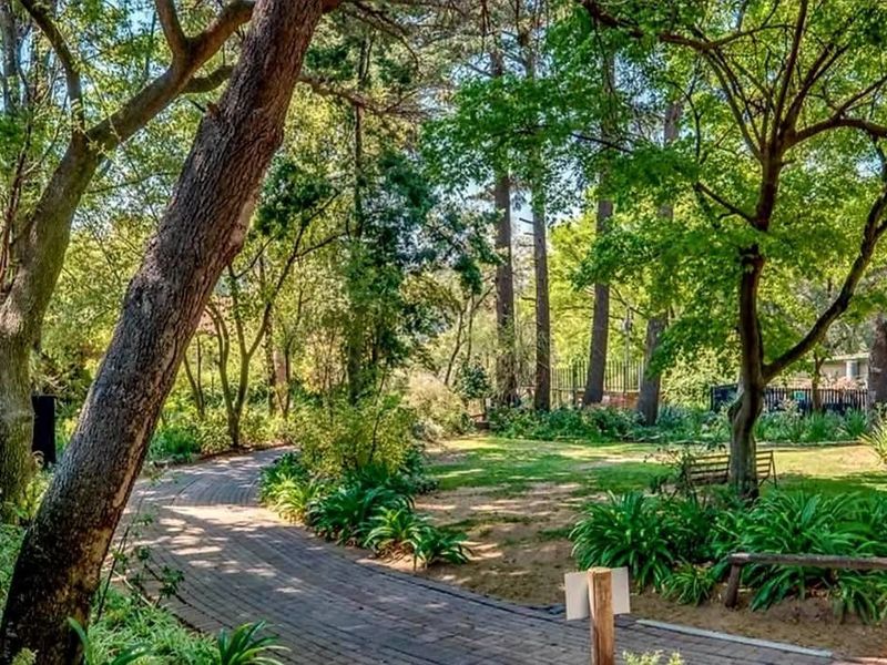 A lush, mature garden featuring a winding brick pathway, established trees, and landscaped greenery, providing a serene outdoor setting.