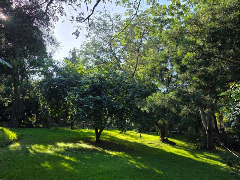 Vacant Stand with Stream Frontage in a Peaceful Setting - Photo 1